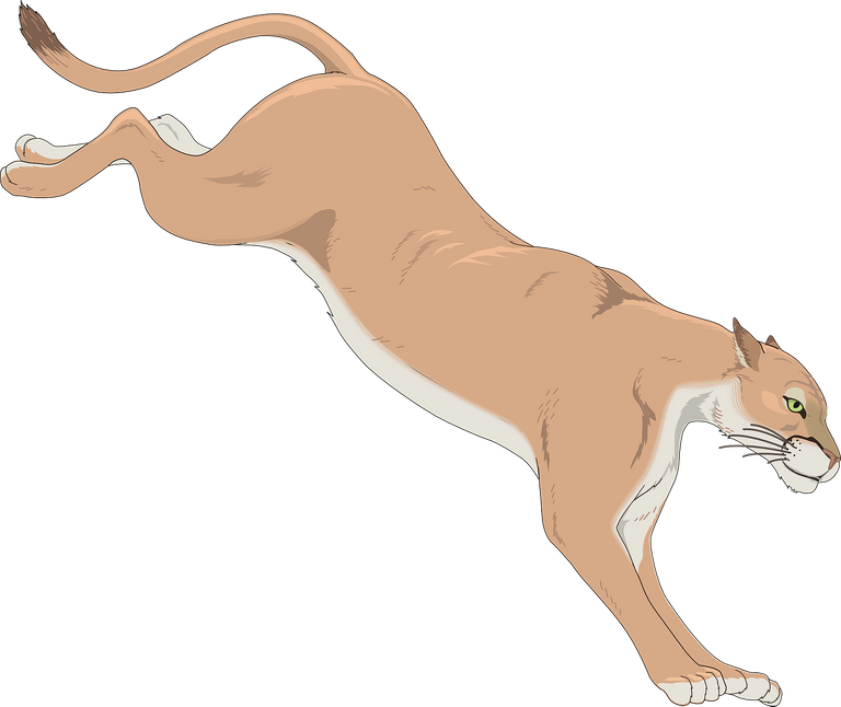 cougar48377_1280.png