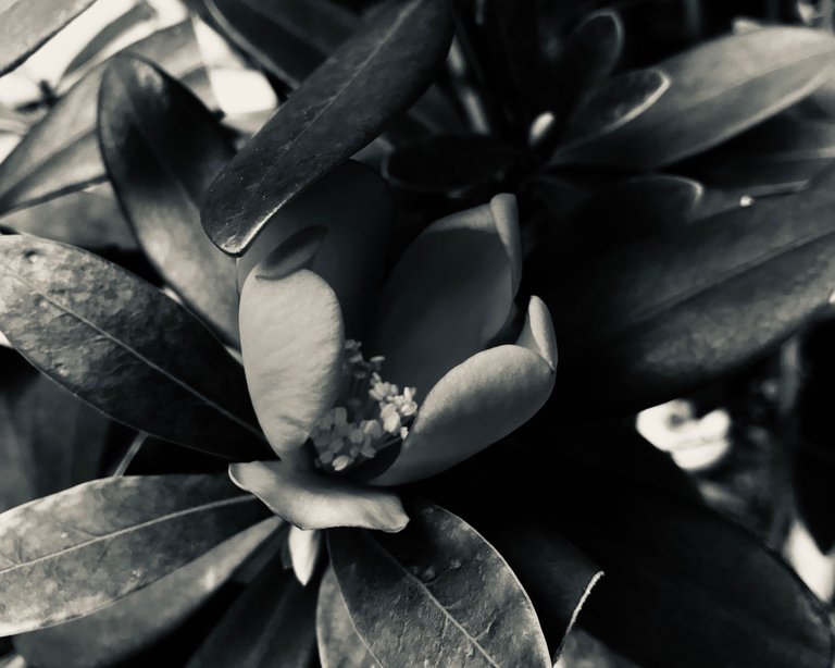 CEA090E9-27B5-4A45-B321-F6E33164B38F.jpeg