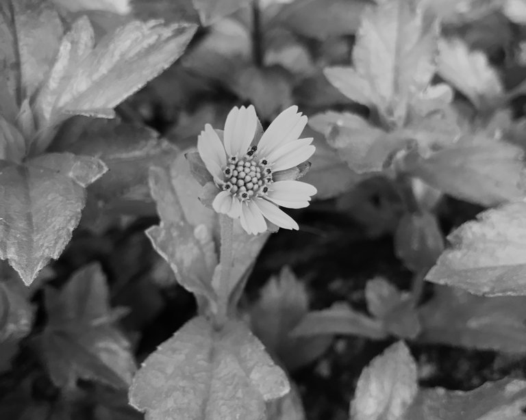 3D0A3542-BCC3-45AD-8AEA-B59861F7920E.jpeg