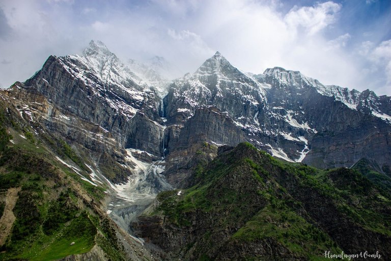 himalayanwomb.jpeg