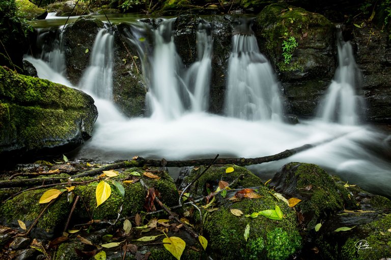 Savegre River, San Gerado de Dota. Costa Rica.jpg