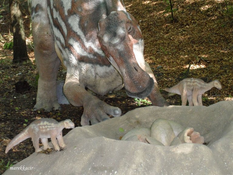 Maiasaura 1.JPG