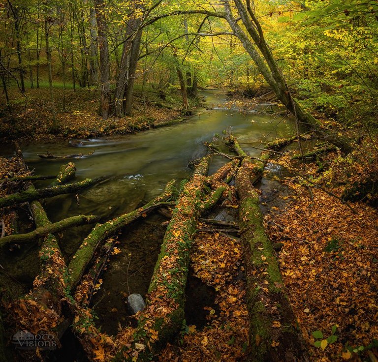 IMG_7296-Pano-Edit.jpg