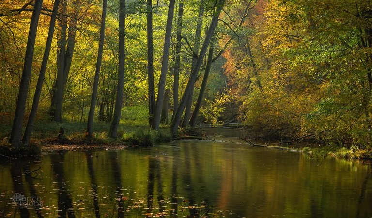 IMG_7568-Pano-Edit-3.jpg