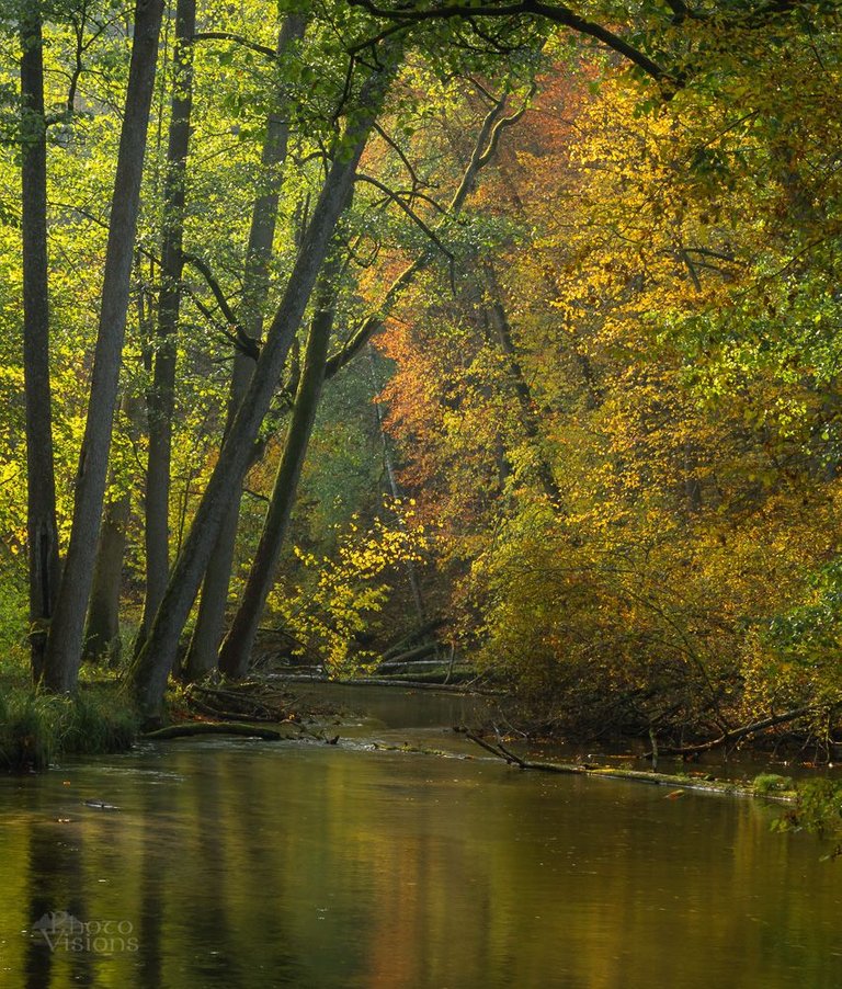 IMG_7568-Pano-Edit-2.jpg