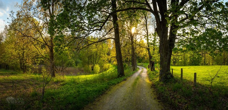 IMG_1351-Pano-Edit.jpg