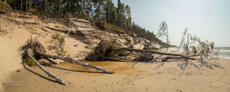 IMG_3493-Pano.jpg
