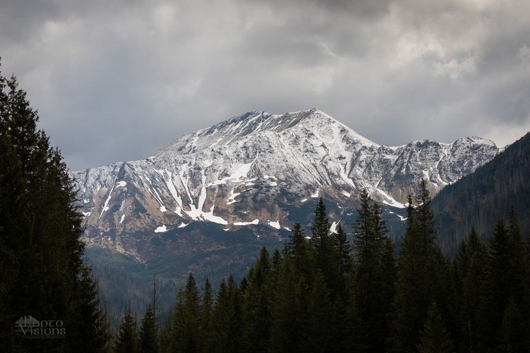 IMG_1889.jpg