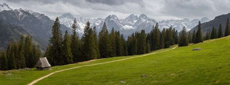 IMG_2137-Pano.jpg