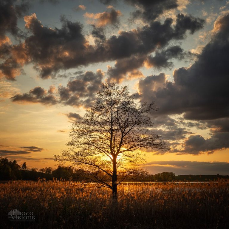 IMG_1365-Edit.jpg