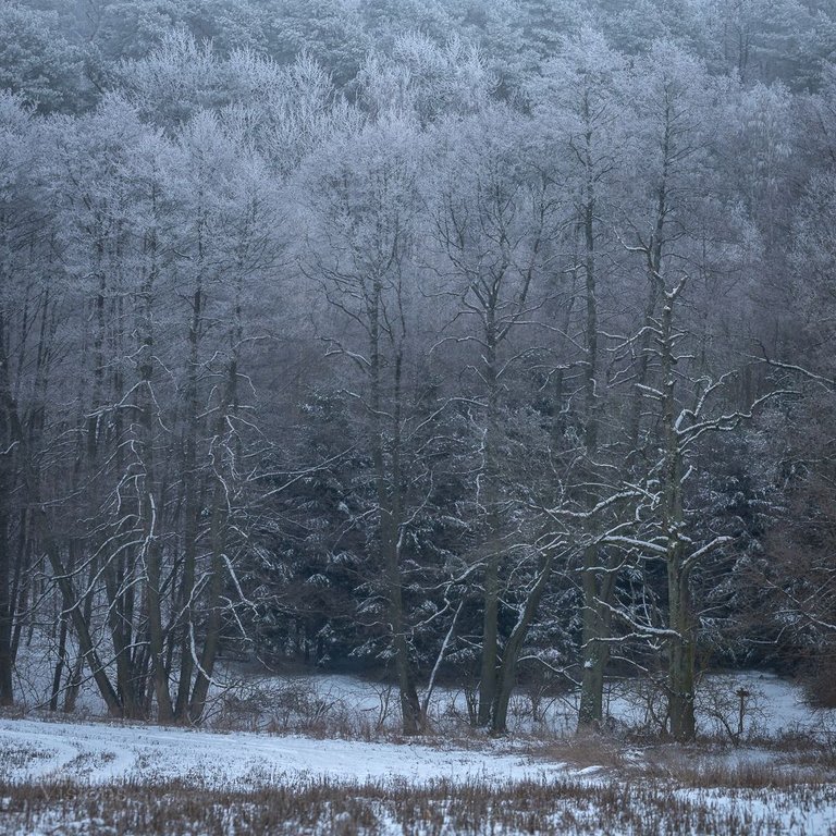 IMG_0434.jpg
