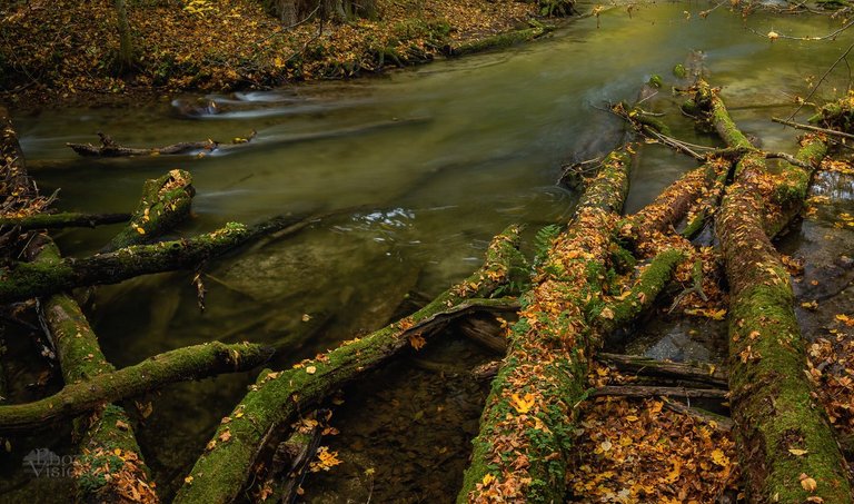 IMG_7296-Pano-Edit-4.jpg
