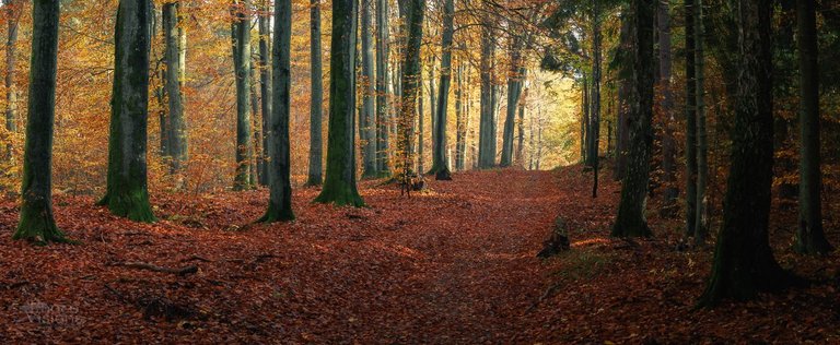 IMG_8174-Pano-Edit-4.jpg
