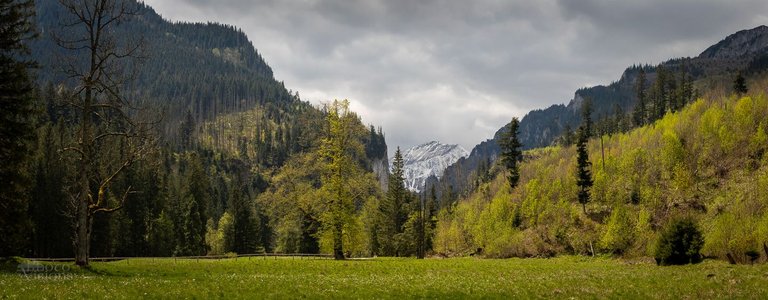 IMG_1794-Pano.jpg