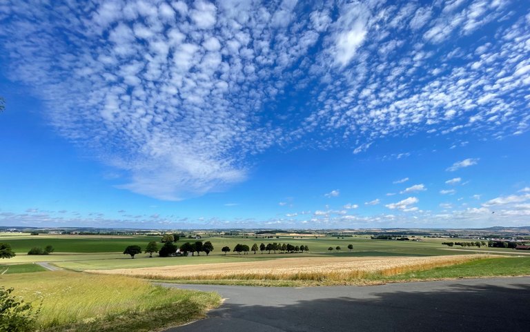 IMG_5382_POV_Desenberg.jpeg