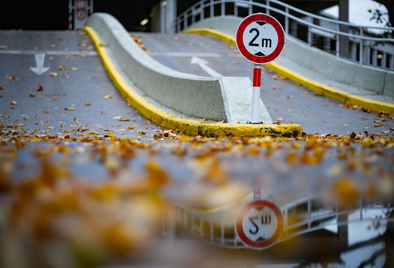 XT206181_Herbstblaetter am Parkhaus.jpg