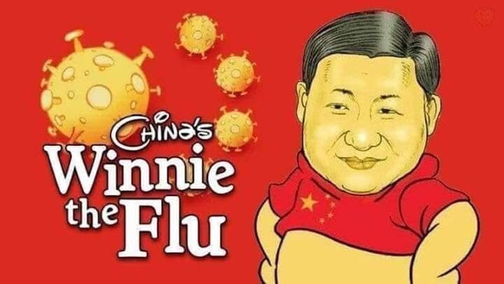 306863114_Winnie the Flu Sick Jin Ping.jpg