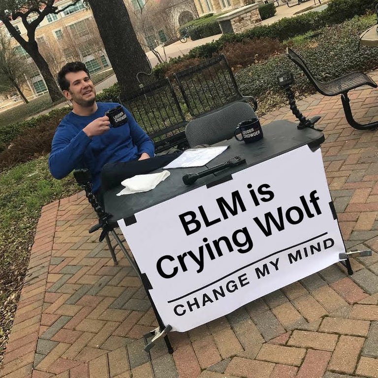 Change My Mind BLM Cry Wolf.jpg