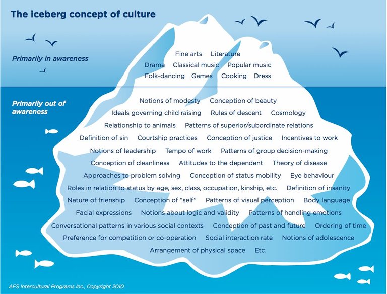 culture iceberg meme.jpg