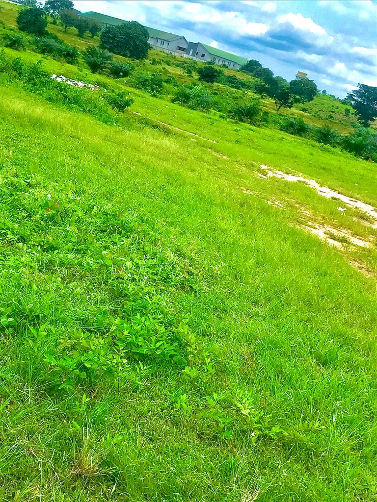 8F468002-49BA-4975-8B4B-5F8DD0A8A4F3.jpeg