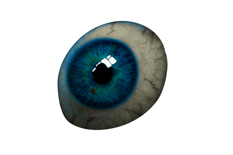 23tGTqhyJ1S8V7voFA95MePsvR9VQr4b1PHaqH2yfvyxNkaujCGBGGgsyWsafg9T3KVff.png