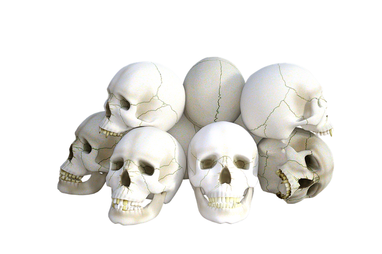 skulls-1665338_960_720.png