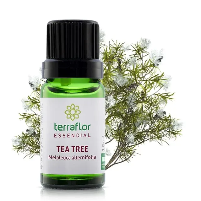 tea_tree_10ml_mockup_planta.webp