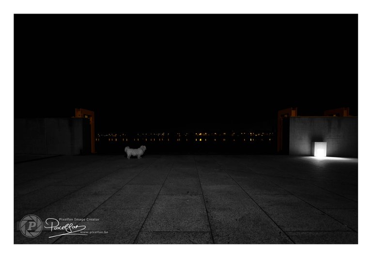 night_lights_reflections_csp_border.jpg