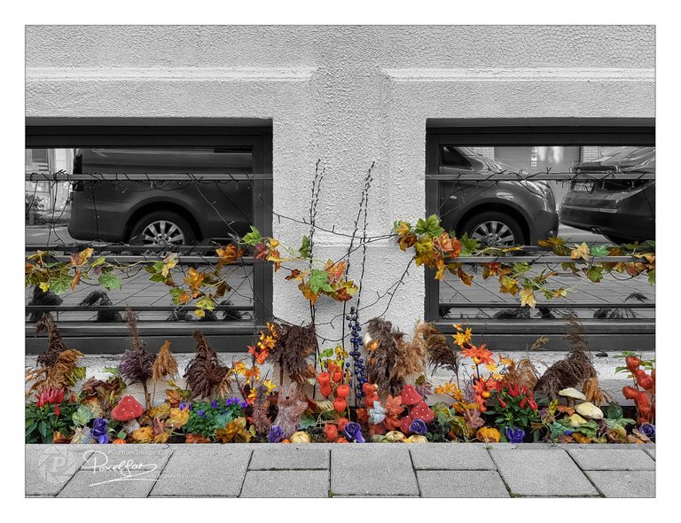 autumn_facade_csp_border_2200px.jpg