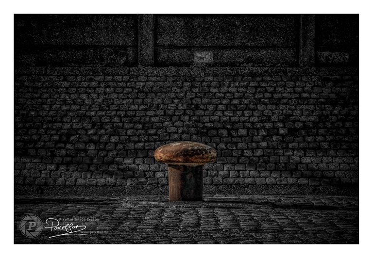 mushroom_csp_border.jpg