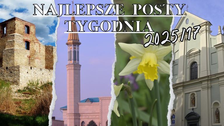 PLT202517.png