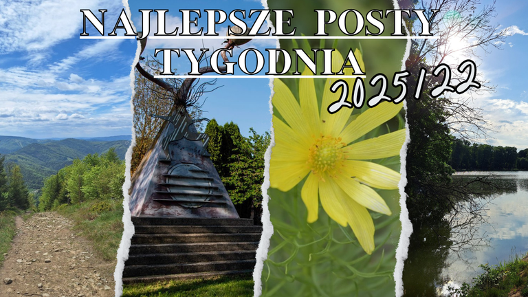 PLT202522.png