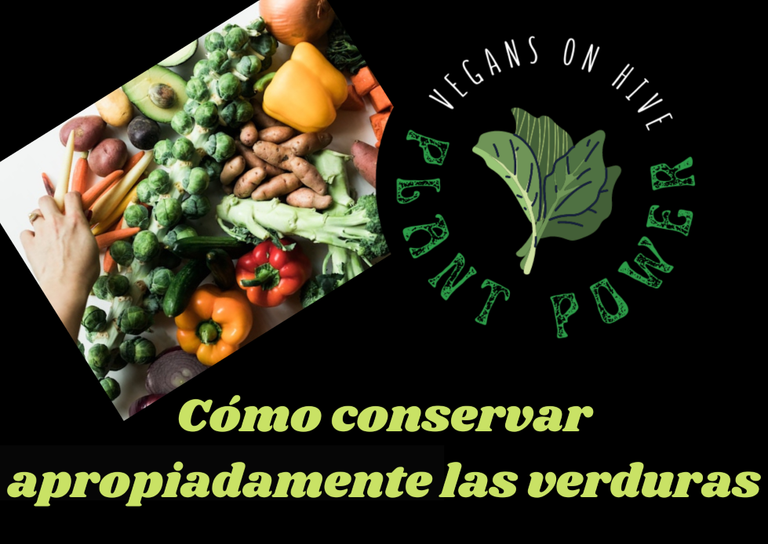 CONSERVACIÓN VERDURAS.png