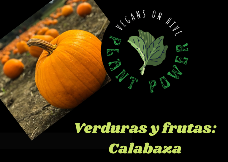 CALABAZA 2.png