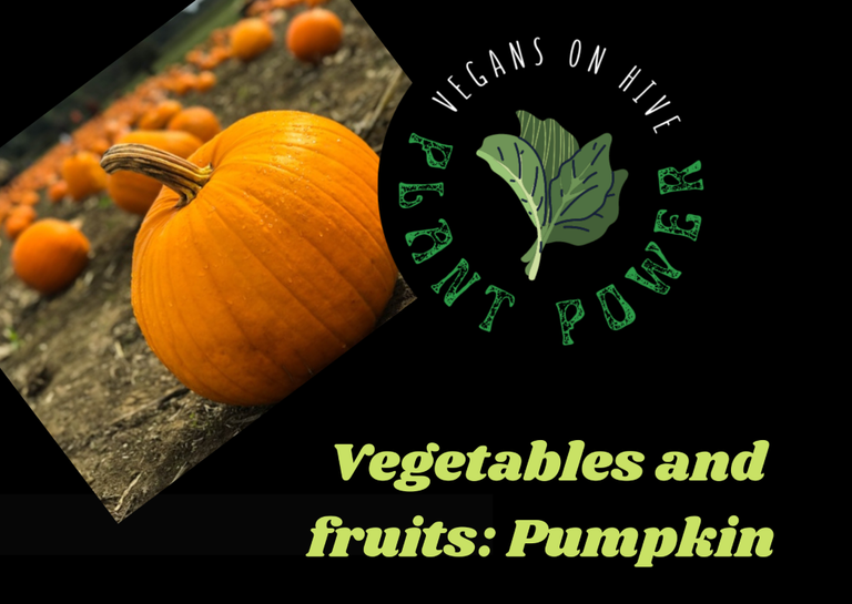 CALABAZA 1.png