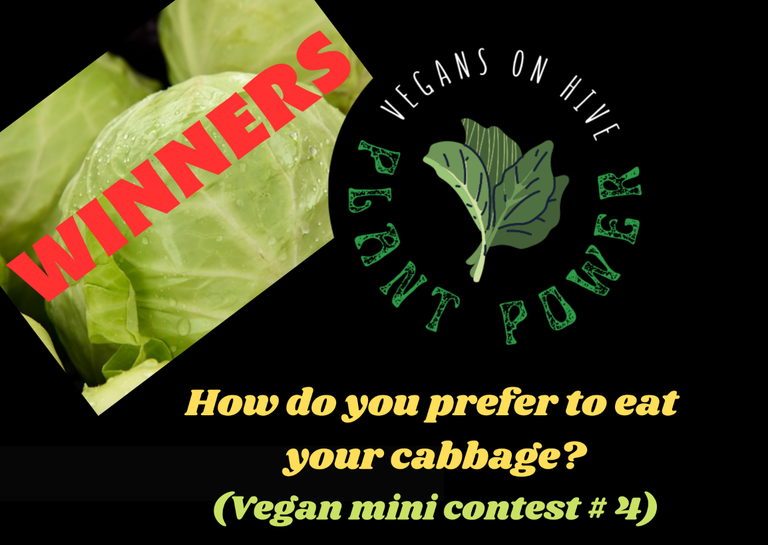 4 WINNERS CABBAGE.png
