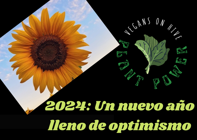 2024 esp.png