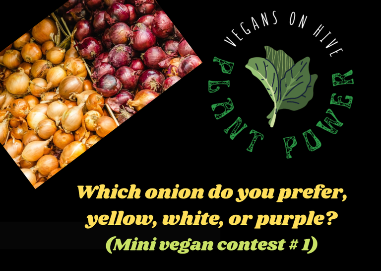 1 ONIONS.png