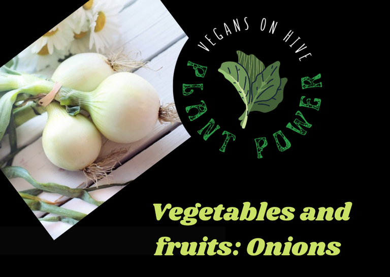 ONIONS 1.png