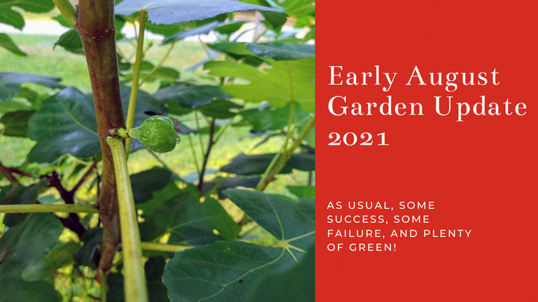 August Garden Update 2021.png
