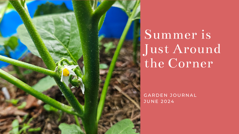 Garden Journal June 2024.png