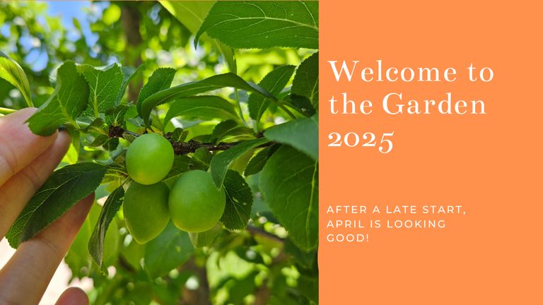 April Garden Journal 2025.png