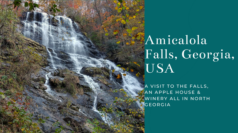 Amicalola Falls Visit 2020.png