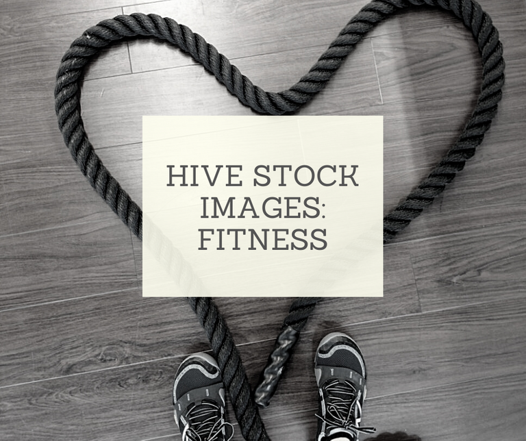 Hive Stock Images_ Fitness.png