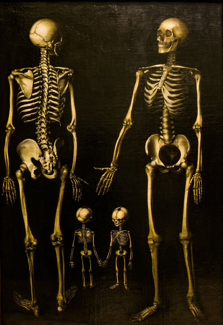skeletons-238135_1920.jpg