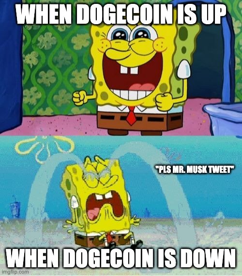 Dogecoin.jpeg