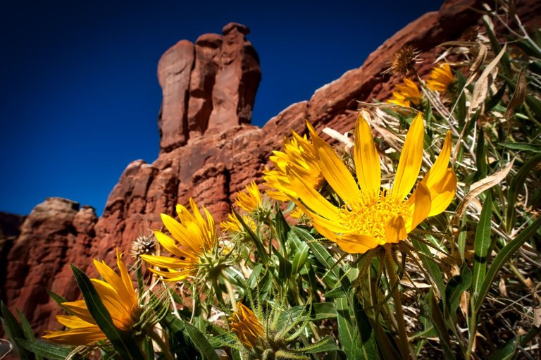 arches-national-park-gd096247f2_1920.jpg