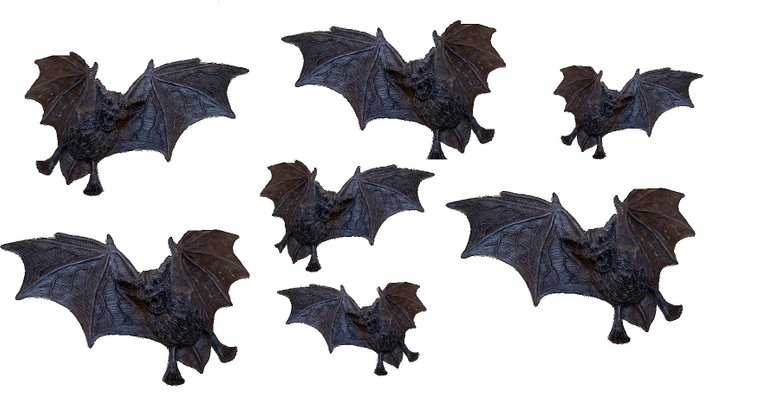 bats pixabay.jpg