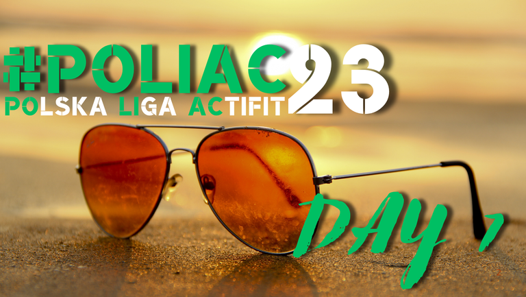 POLIAC23-D7.png