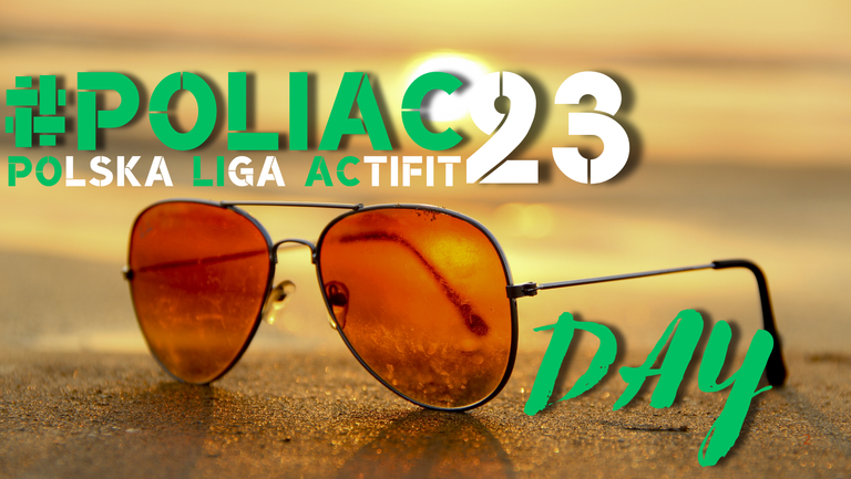 POLIAC23-D13.png